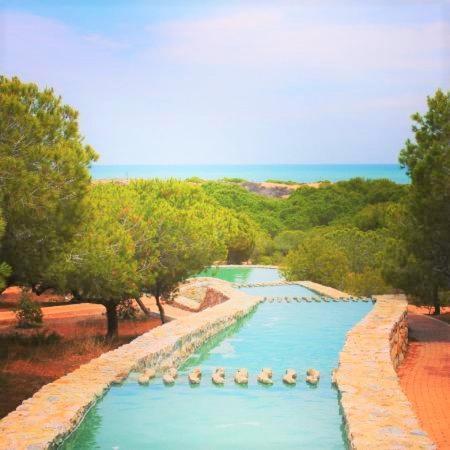 Apartment With Pool, Sea Views & Balcony Less Than 10Min Walk To La Mata Beach! Torrevieja Bagian luar foto