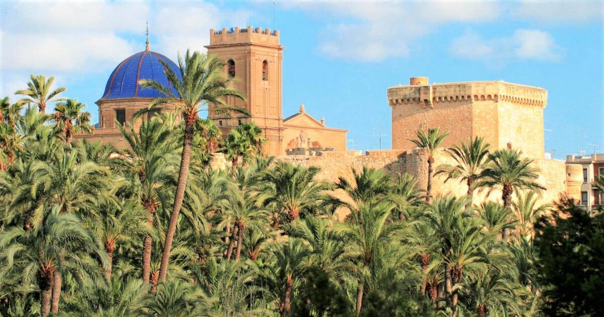 Apartment With Pool, Sea Views & Balcony Less Than 10Min Walk To La Mata Beach! Torrevieja Bagian luar foto